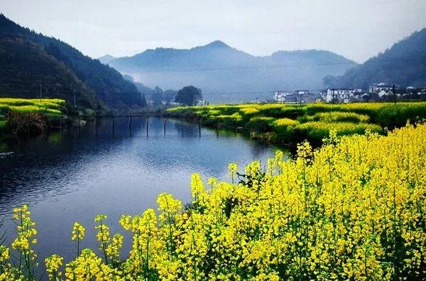 江西的春天叫婺源婺源的春天在江岭