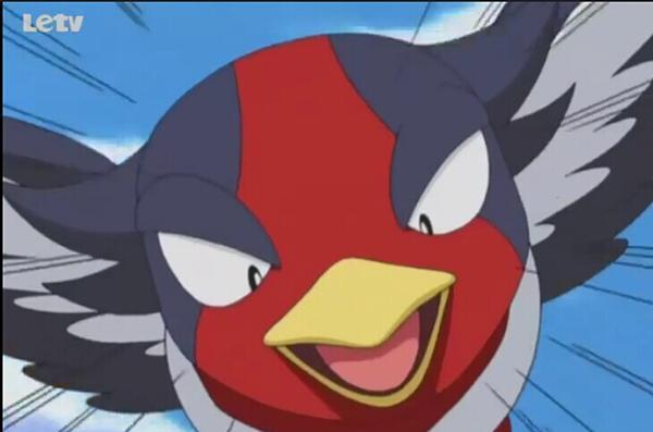 no8:大王燕2.在神奥联盟上战胜尚志的音箱蟀1.