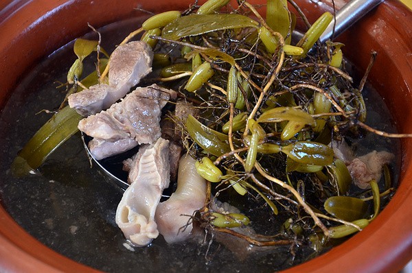 农村山里的"石仙桃",能养阴润肺,更是头痛患者的救星_新浪看点