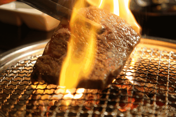 点击播放gif/645k烤肉的小哥哥跟我们普及了一下牛肉的饲养方法澳洲和