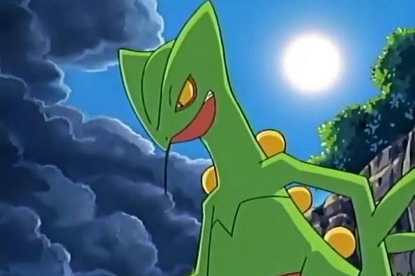 主力感最低,森林蜥蜴时期太长,打联盟未最终进化,联盟同时期的大王燕