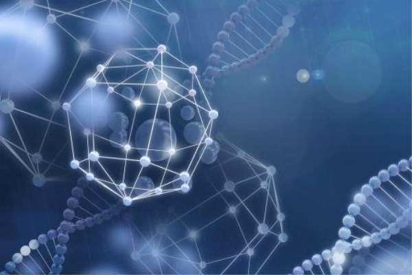 _今年新能源汽车销量