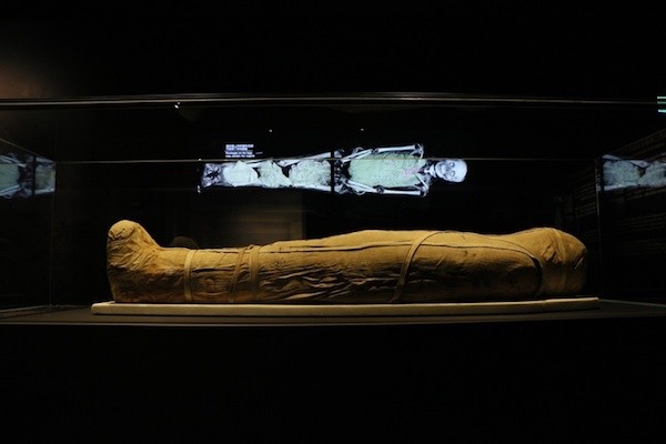 木乃伊的介绍,以图像化的方式给观众一个直观的印象,而后黑色肃穆的