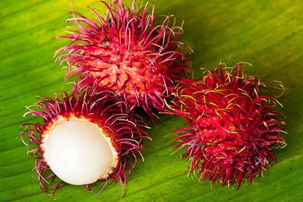 这种浑身长满刺的水果,竟然有这么多功效,但这三种人不能吃