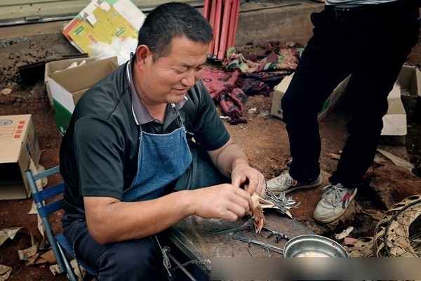 农村集市大叔凭借独门"阉割"技术,一天能挣几百元