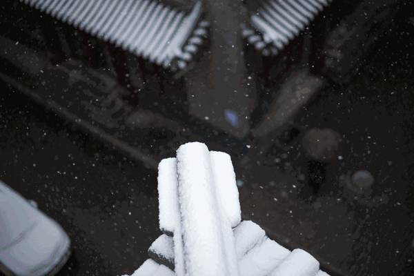 600_400gif 动态图 动图