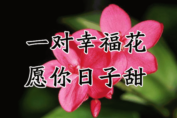 3.14白色情人节,祝你幸福!我愿执子之手,与子偕老(love)