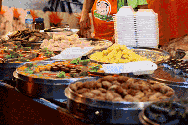 霸王龙,三角龙,剑龙,无齿翼龙,火龙   形态各异