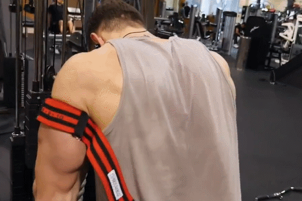 上斜凳哑铃弯举