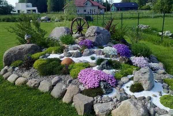 华丽的岩石小花园,你会喜欢的不得了