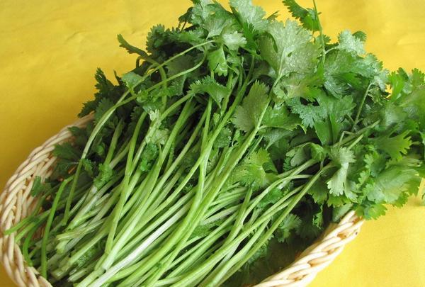 吃火锅|火锅|香菜_新浪新闻