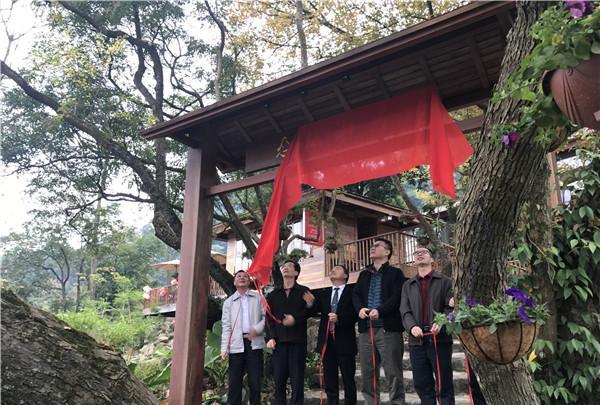 广州增城新增高端民宿 隐于大山之中的度假木屋群