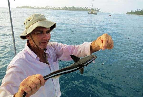 男子从海里钓出一条"鞋印鱼", 仔细瞧看发现后它还能这样