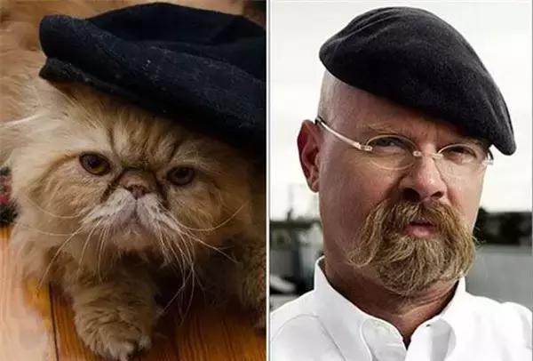 黑毛|卓别林|莱昂纳多_新浪网