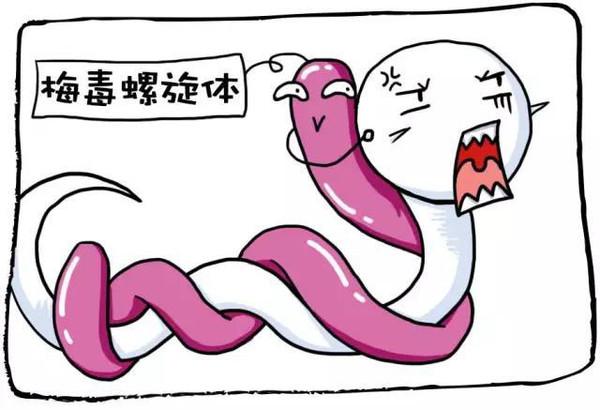 死法八,被梅毒螺旋体附身而死梅毒螺旋体是一种小而纤细,末端尖的螺旋