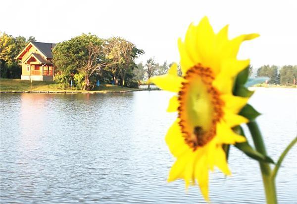 远离尘世的喧嚣,吉林磐石鹭鸶湖风景区这个黄