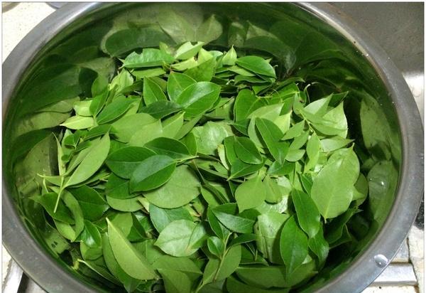 如何制作出草香四溢的乌米饭|乌米饭|乌米|猪油_新浪新闻