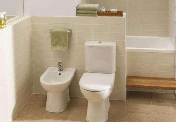 中国人去欧洲旅游,走入卫生间看到两个马桶,竟不知道坐哪个?