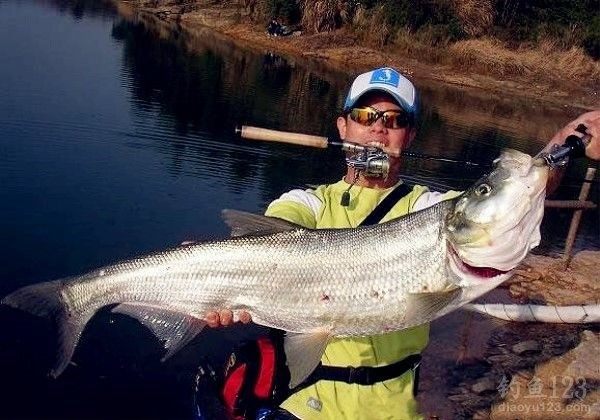 夏季翘嘴鱼如何上钩?看看老钓鱼人怎么说!
