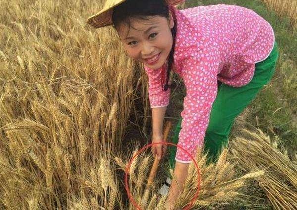 草帽姐将被封杀?成为《星光大道》14年来第一个封杀的草根明星!