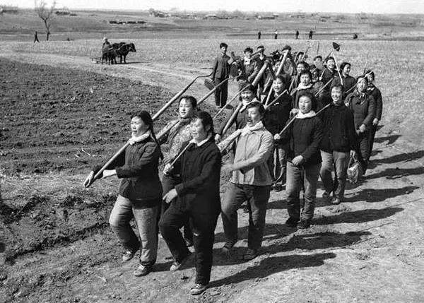 60年代老照片里的故事|红小兵|故事|年代_新浪新闻