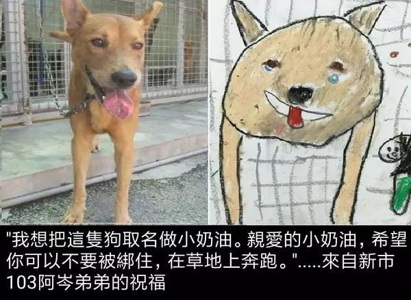 国小教师施欣怡于今年寒假前与淡水动物之家联系,希望透过绘画方式,为
