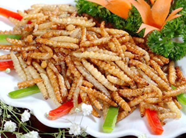 南方朋友请客上了一道特色菜恶心的没有胃口