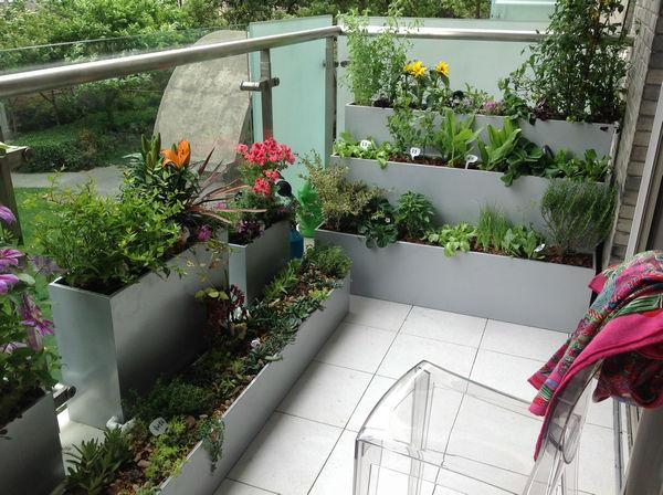 5㎡阳台变身私家植物园,小朋友竟然还种起了菜