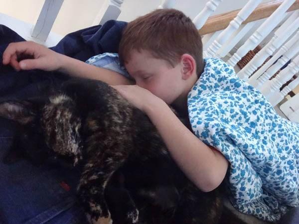 48年来一直想养猫可是过敏很头疼,直到遇见了