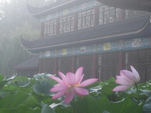 一去二三里,烟村四五家。亭台六七座,八九十枝花。|烟村|亭台_新浪新闻