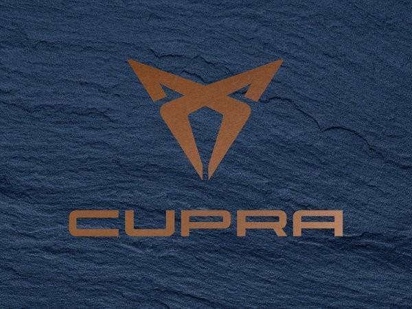 还记得去年八月,vw集团旗下西班牙品牌seat释出了一张cupra的羊角logo