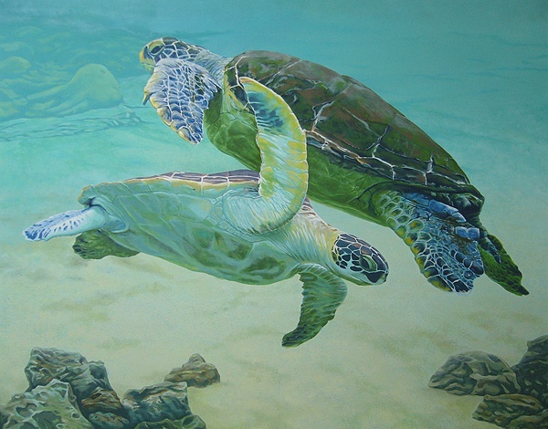 99 67  67 67676767676767 6767 水彩乌龟素