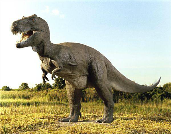 埃安霸王龙设置技巧 买24款还是25款好