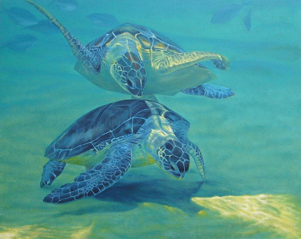 99 67  67 67676767676767 6767 水彩乌龟素