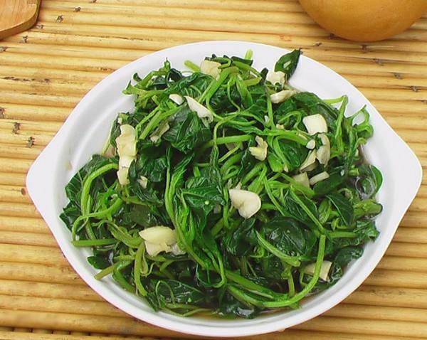 这种野菜被称为"长寿菜",菜市场卖三块钱一斤,告诉家人要多吃