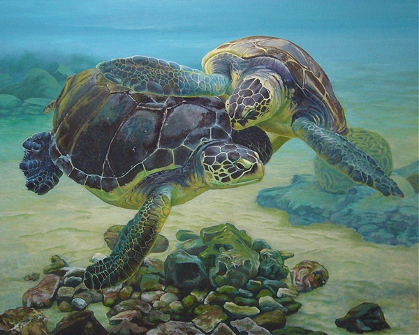 水彩乌龟素