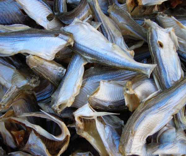 我这样收拾鲹条:去掉鯵条头尾,洗净内脏,除去鳞片,码上适量的盐和料酒