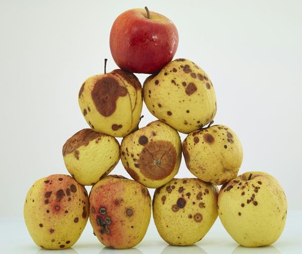 水果烂点削掉就好就怕省出来的钱不够治病用