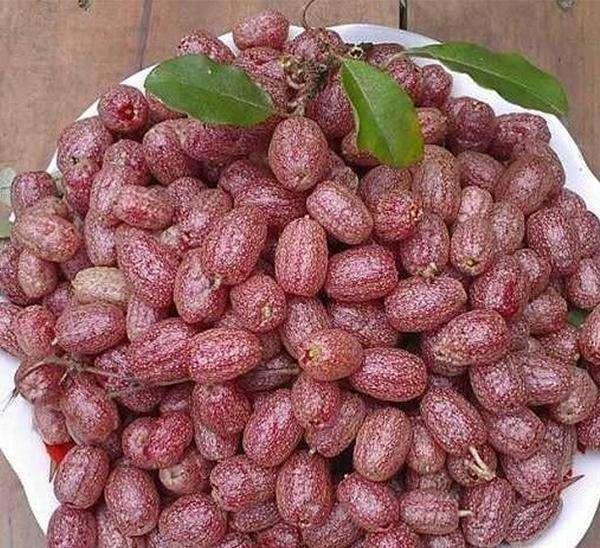 酿酒师教你如何酿造胡颓子果实酒