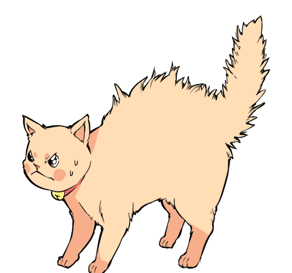 涨知识解读5种会说话的猫尾巴你读懂了几种