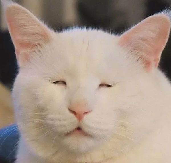 李荣浩的小眼睛才真是圈粉利器