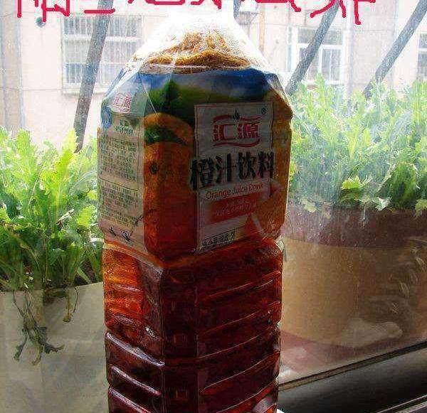 家里养花有小飞虫,太讨厌了,一招消灭全部小飞