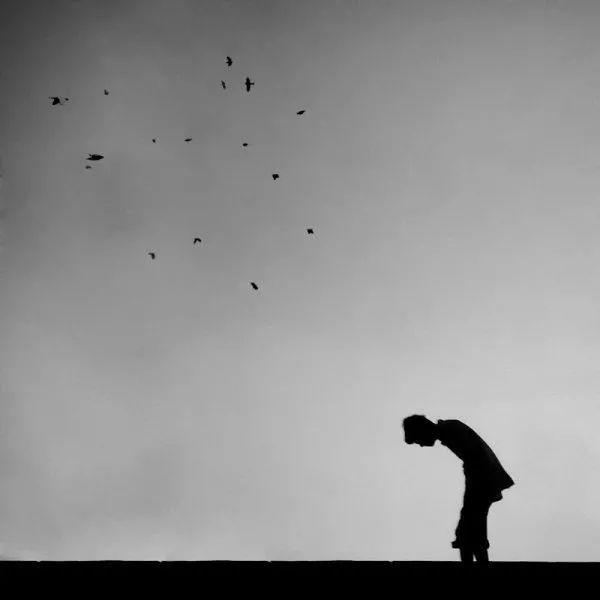 寒门博士自杀谁是真正杀死这些贫穷而上进年轻人的凶手