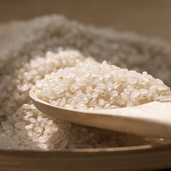 胚芽米有什么功效?哪些人适合吃胚芽米?