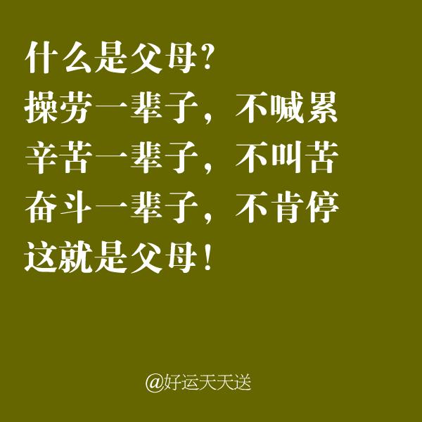 不要忘记父母恩情!再忙也要打开看看