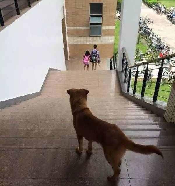 情侣们秀恩爱的七夕节到了你想知道单身狗都有那些过法吗