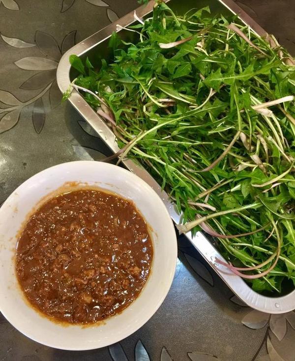 蒲公英在北方常被叫做婆婆丁,习惯生吃各种蔬菜的北方人,经常会采摘