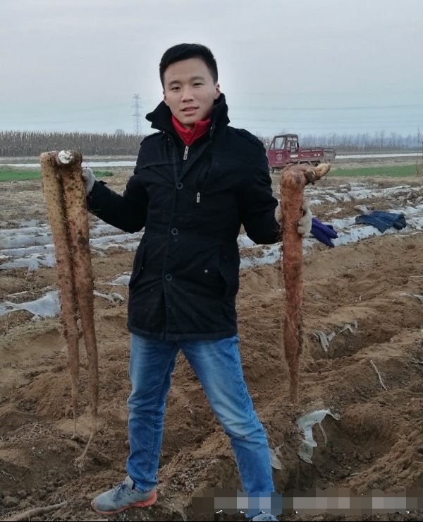 在农村挖这东西,让很多男人受不了,挖开后让人欣喜若狂!