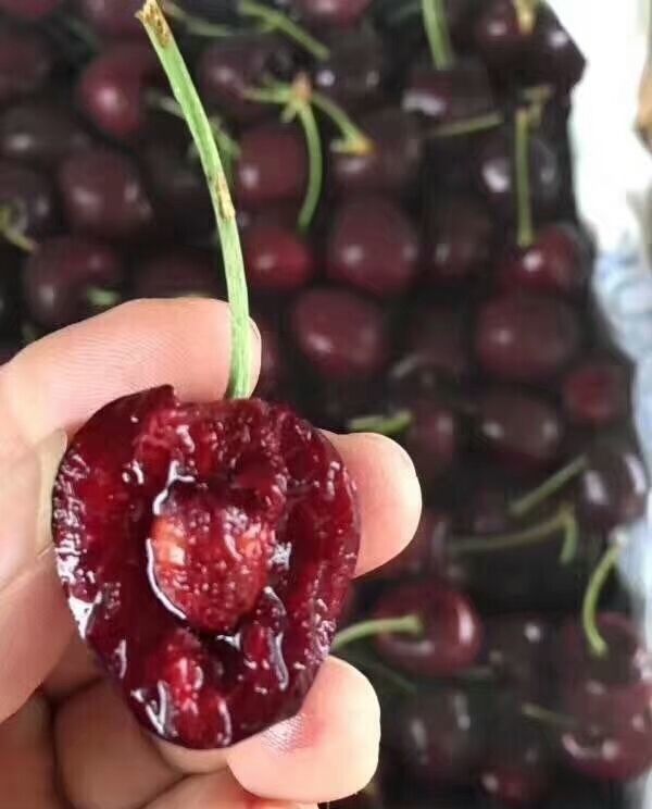 樱桃跟车厘子的不同