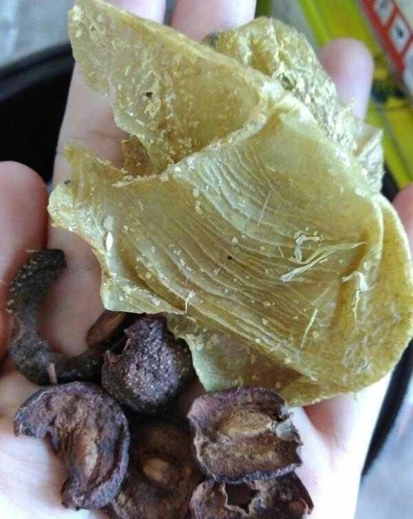 我用了五六粒山楂,两块鸡内金洗干净后把鸡内金捏碎加入一小块冰片糖